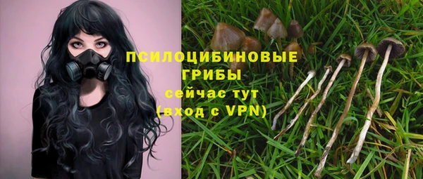 MDMA Premium VHQ Абаза